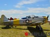 N817TX