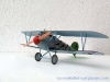 albatros-d-v-hippel-25.jpg