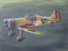 fokker-d-xxi-oil-paint-08.jpg