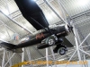 g-lizy_0.jpg