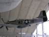 4632093.jpg