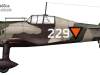 02-Fokker-D-XXI-Dutch-229