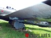 DSCF5083_Galeb