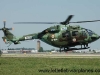 hal-dhruv_3.jpg