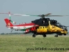 hind_7.jpg