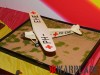 IPMS-ESM 2016_0054