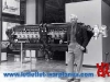 macchi-castoldi-mc-72-engine