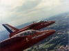 gnat-red-arrow.jpg