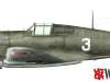 Curtiss-P-40-Turski-3