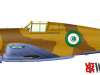 Curtiss-Tomahawk-II-A-Egipat