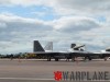 09-4180_RIAT_2017