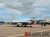 ZK334_RIAT_2017