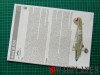 DSCF5945_Avia_B_534