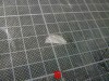 DSCF1679_SAAB_Safir