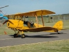 again-tiger-moth-ph-dlk.jpg