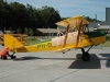 tiger-moth-ph-dlk.jpg