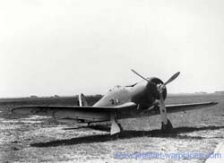 Brand new Fiat G.50