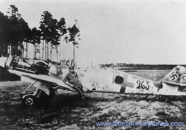 bf109k-03.jpg