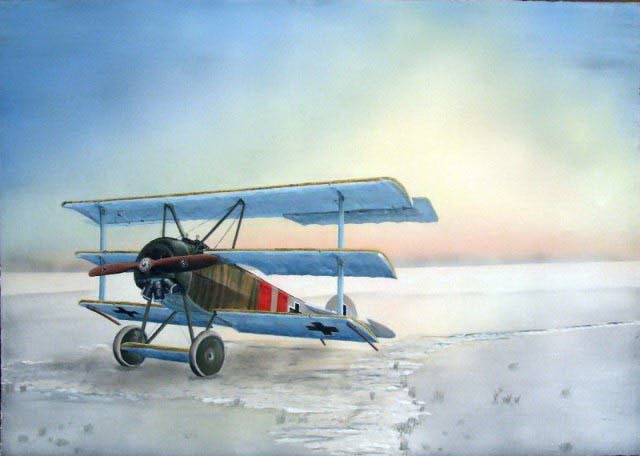 Fokker Dr.I in winter landscape