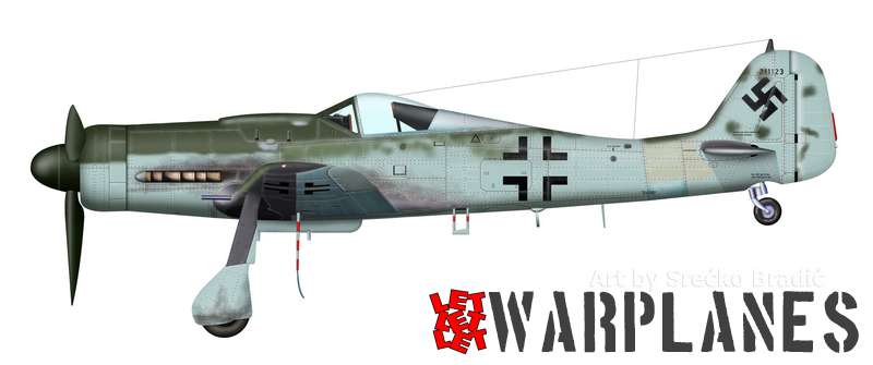 Fw190D 211123