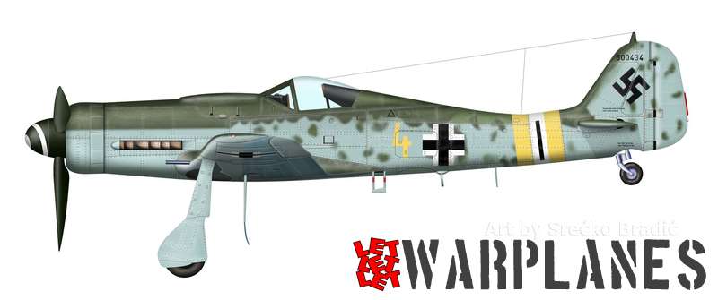 Fw190D 600434