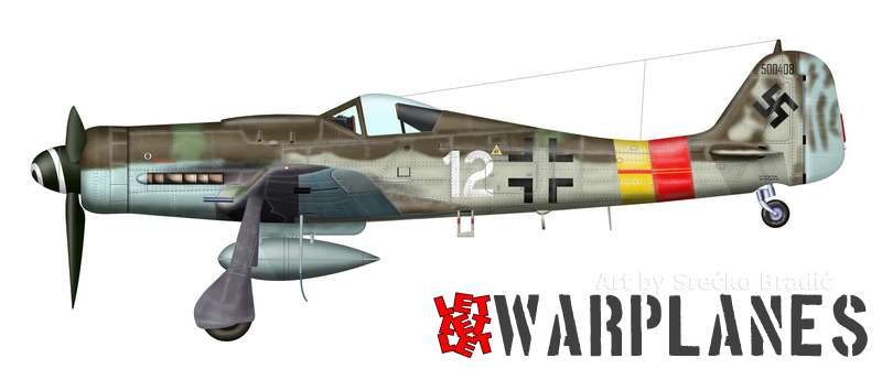 Fw190D 500408