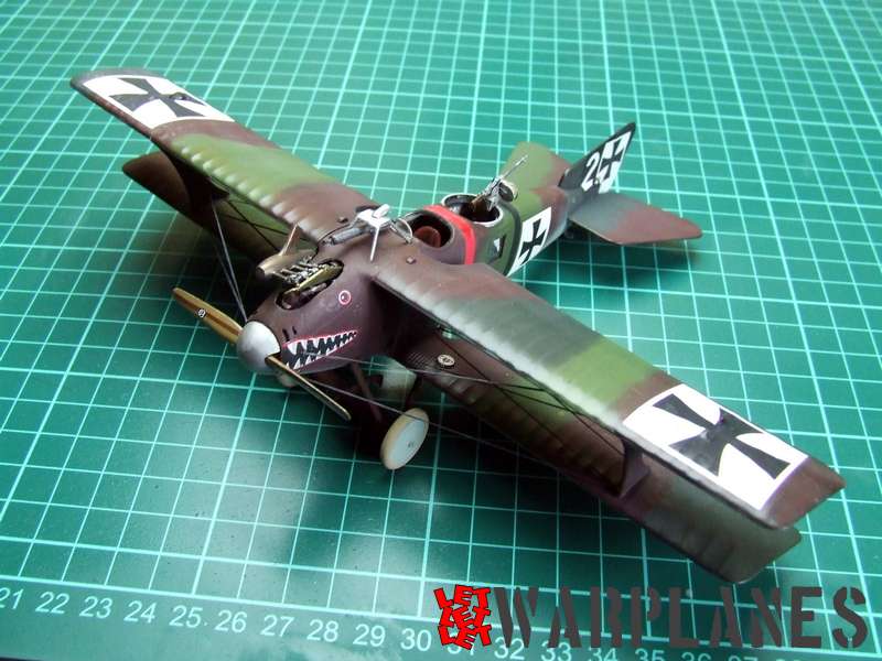 Roland C.II Eduard 1/48