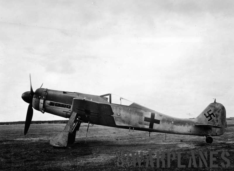 Focke wulf Fw 190D colors